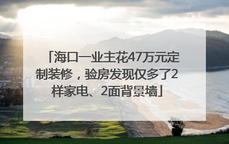 海口一业主花47万元定制装修，验房发现仅多了2样家电、2面背景墙