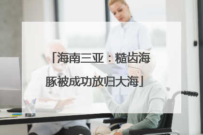 海南三亚：糙齿海豚被成功放归大海