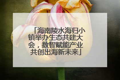 海南陵水海归小镇举办生态共建大会，数智赋能产业共创出海新未来