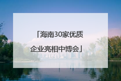 海南30家优质企业亮相中博会