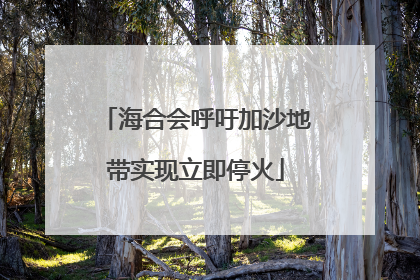 海合会呼吁加沙地带实现立即停火