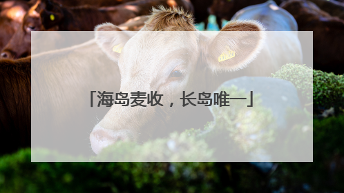 海岛麦收，长岛唯一