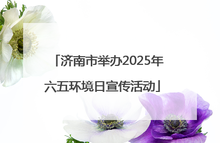 济南市举办2025年六五环境日宣传活动