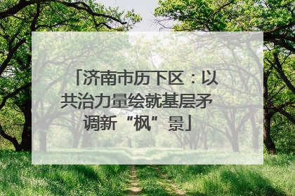 济南市历下区：以共治力量绘就基层矛调新“枫”景