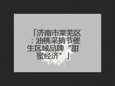 济南市莱芜区：油桃采摘节催生区域品牌“甜蜜经济”
