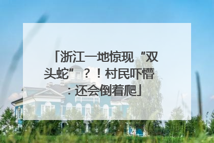 浙江一地惊现“双头蛇”？！村民吓懵：还会倒着爬
