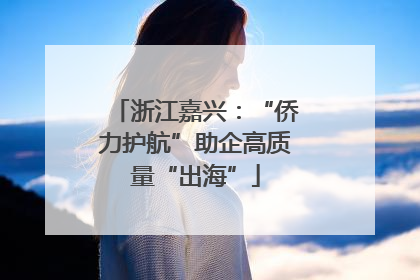 浙江嘉兴：“侨力护航”助企高质量“出海”