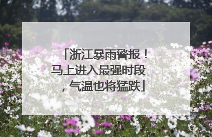 浙江暴雨警报！马上进入最强时段，气温也将猛跌