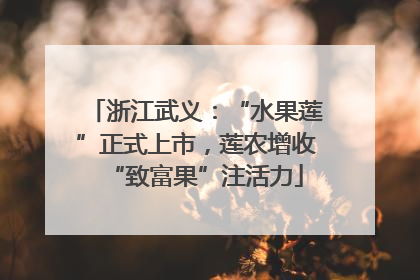 浙江武义：“水果莲”正式上市，莲农增收“致富果”注活力