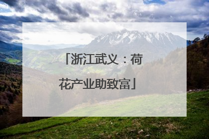 浙江武义：荷花产业助致富