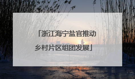 浙江海宁盐官推动乡村片区组团发展