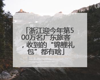 浙江迎今年第500万名广东旅客，收到的“锦鲤礼包”都有啥