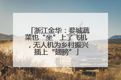 浙江金华：婺城蔬菜也“坐”上了飞机，无人机为乡村振兴插上“翅膀”