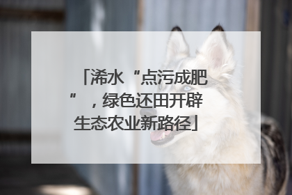 浠水“点污成肥”，绿色还田开辟生态农业新路径