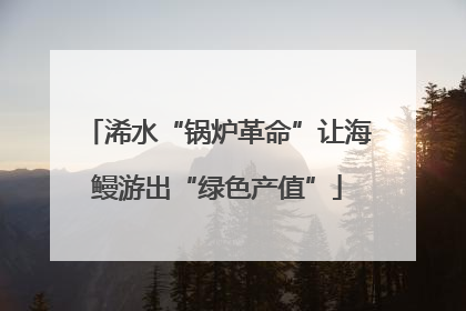 浠水“锅炉革命”让海鳗游出“绿色产值”