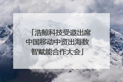 浩鲸科技受邀出席中国移动中资出海数智赋能合作大会