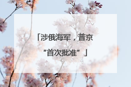 涉俄海军，普京“首次批准”