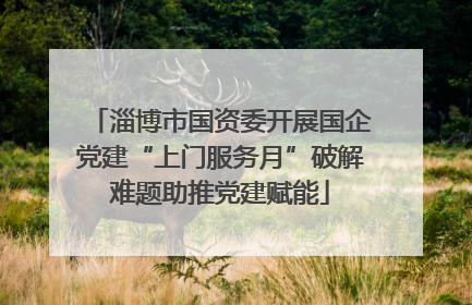 淄博市国资委开展国企党建“上门服务月”破解难题助推党建赋能