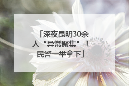 深夜昆明30余人“异常聚集”！民警一举拿下