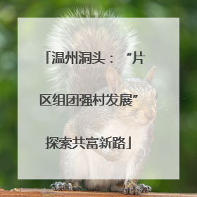 温州洞头：“片区组团强村发展”探索共富新路
