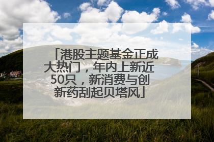 港股主题基金正成大热门，年内上新近50只，新消费与创新药刮起贝塔风