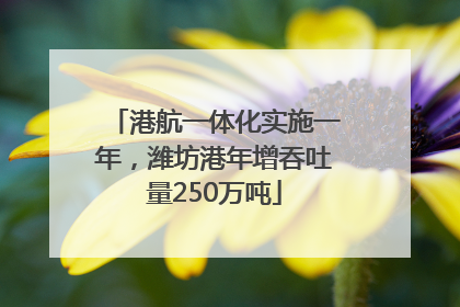 港航一体化实施一年，潍坊港年增吞吐量250万吨