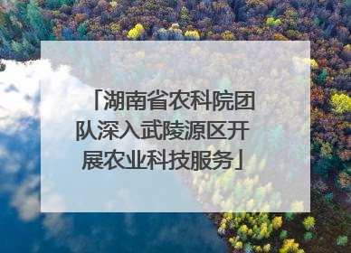 湖南省农科院团队深入武陵源区开展农业科技服务