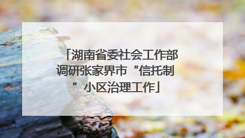 湖南省委社会工作部调研张家界市“信托制”小区治理工作