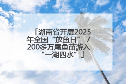 湖南省开展2025年全国“放鱼日” 7200多万尾鱼苗游入“一湖四水”