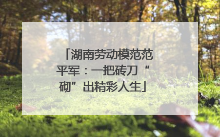 湖南劳动模范范平军：一把砖刀“砌”出精彩人生