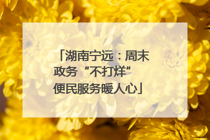 湖南宁远：周末政务“不打烊” 便民服务暖人心