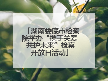 湖南娄底市检察院举办“携手关爱 共护未来”检察开放日活动