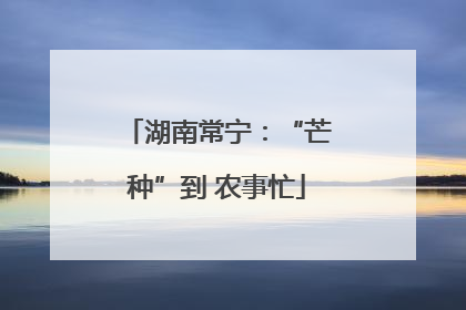 湖南常宁：“芒种”到 农事忙