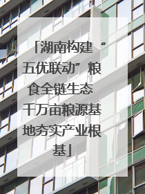 湖南构建“五优联动”粮食全链生态 千万亩粮源基地夯实产业根基