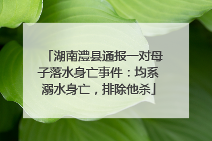 湖南澧县通报一对母子落水身亡事件：均系溺水身亡，排除他杀