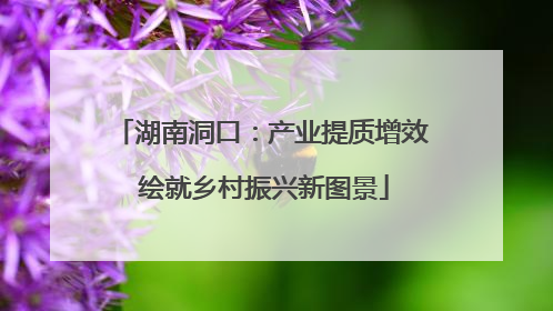 湖南洞口：产业提质增效 绘就乡村振兴新图景