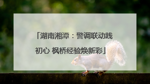湖南湘潭：警调联动践初心 枫桥经验焕新彩
