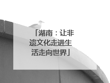 湖南：让非遗文化走进生活走向世界