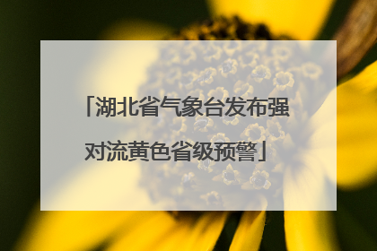 湖北省气象台发布强对流黄色省级预警