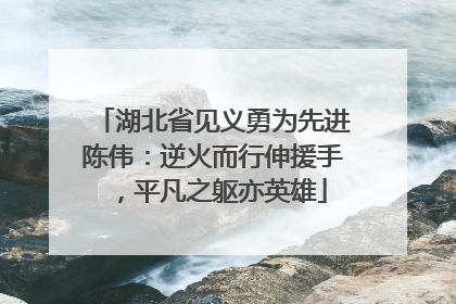 湖北省见义勇为先进陈伟：逆火而行伸援手，平凡之躯亦英雄