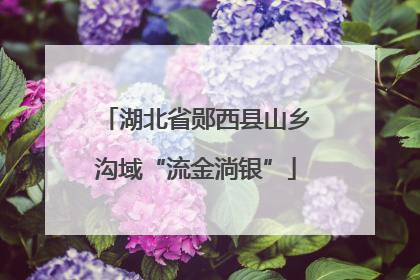 湖北省郧西县山乡沟域“流金淌银”