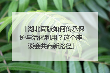 湖北简牍如何传承保护与活化利用？这个座谈会共商新路径