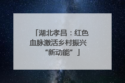 湖北孝昌：红色血脉激活乡村振兴“新动能”