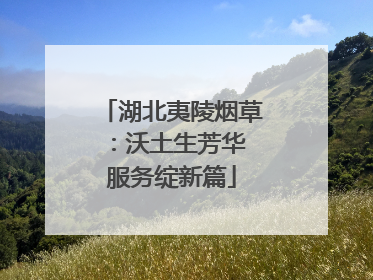 湖北夷陵烟草：沃土生芳华 服务绽新篇
