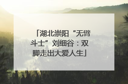 湖北崇阳“无臂斗士”刘细谷：双脚走出大爱人生