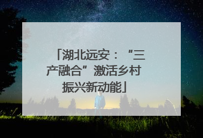 湖北远安：“三产融合”激活乡村振兴新动能