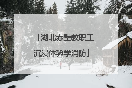 湖北赤壁教职工沉浸体验学消防