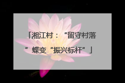 湘江村：“留守村落”蝶变“振兴标杆”