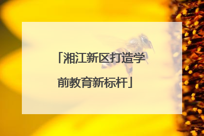 湘江新区打造学前教育新标杆
