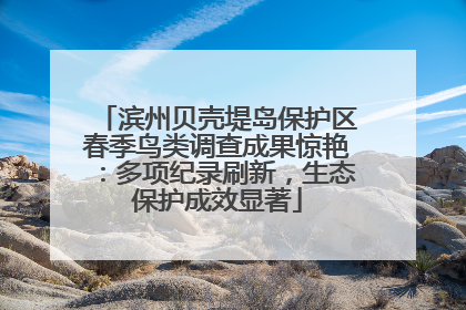 滨州贝壳堤岛保护区春季鸟类调查成果惊艳：多项纪录刷新，生态保护成效显著